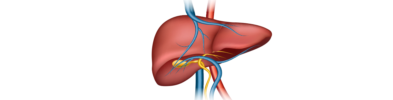 Is your liver functioning well? Signs of liver failure you should not ignore